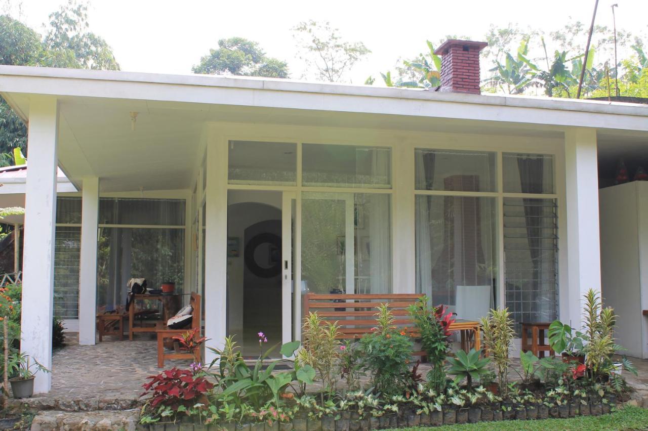 The Forest Villa Μπογκόρ Εξωτερικό φωτογραφία