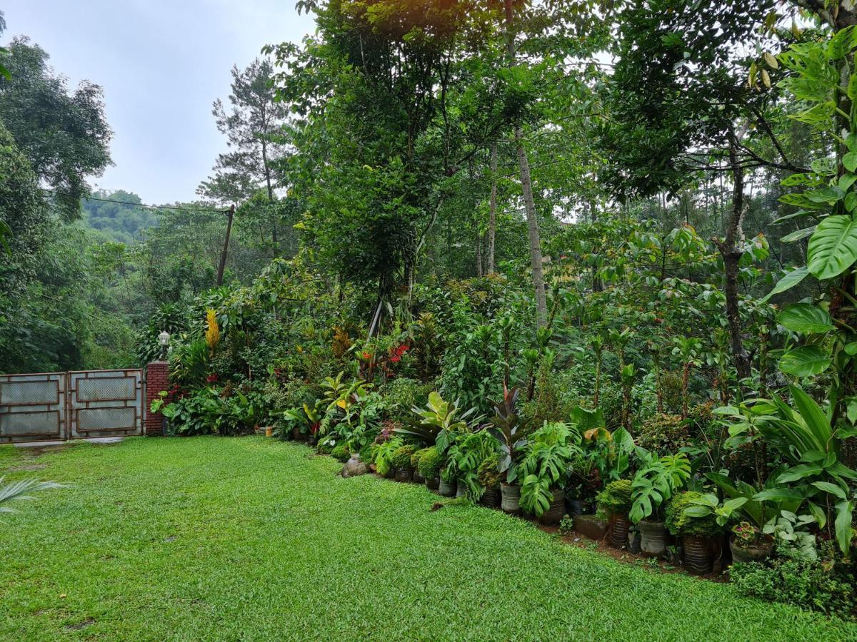 The Forest Villa Μπογκόρ Εξωτερικό φωτογραφία